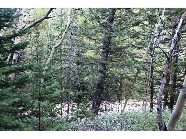 5340 FS 718.1, Black Hawk, CO 80422