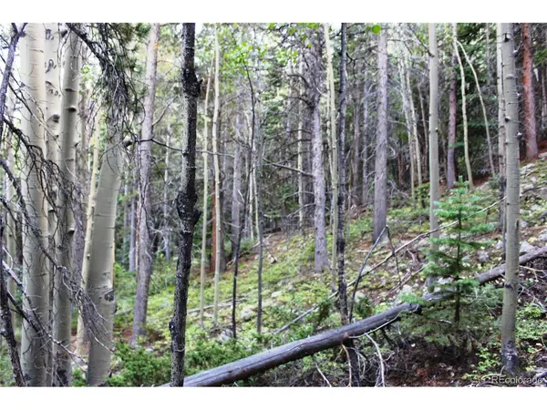 5340 FS 718.1, Black Hawk, CO 80422