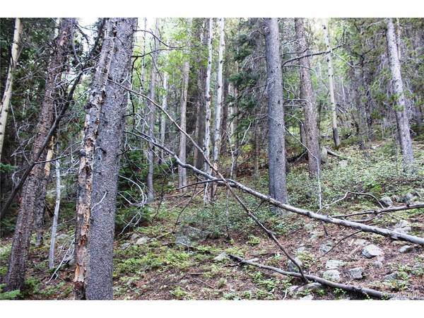 5340 FS 718.1, Black Hawk, CO 80422
