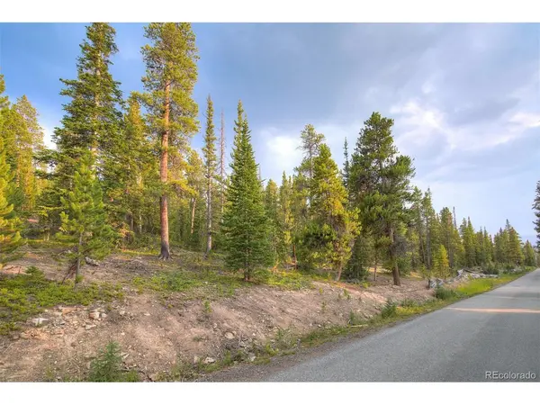 190 Berlin Placer, Breckenridge, CO 80424