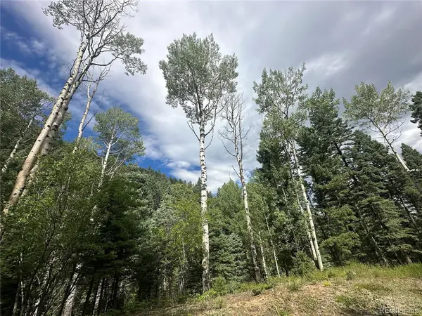 272 Fern Valley, Manitou Springs, CO 80829