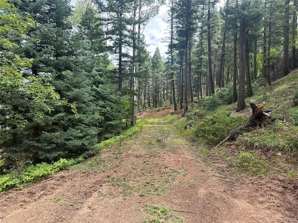 272 Fern Valley, Manitou Springs, CO 80829