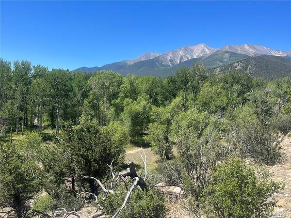 17573 Trout, Buena Vista, CO 81211