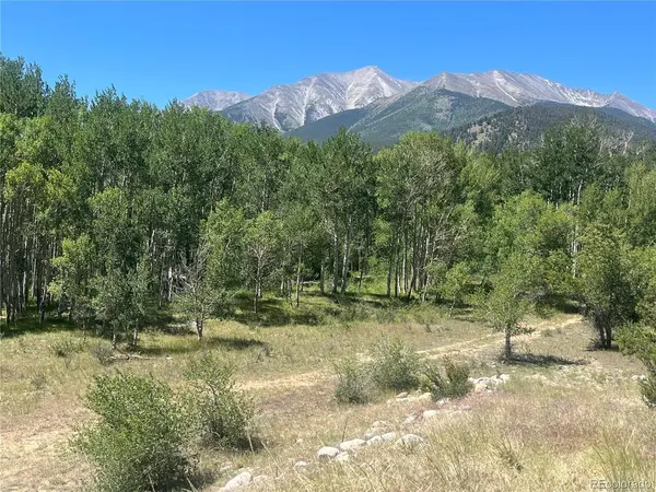 17573 Trout, Buena Vista, CO 81211