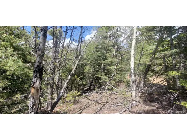 Address not disclosed, Fort Garland, CO 81133