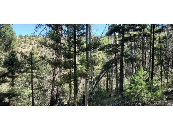 Address not disclosed, Fort Garland, CO 81133