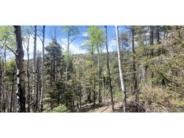 5610 Dawson, Fort Garland, CO 81133