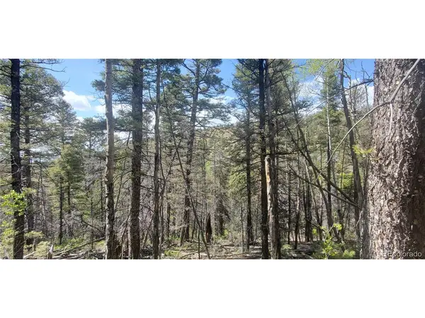 Address not disclosed, Fort Garland, CO 81133