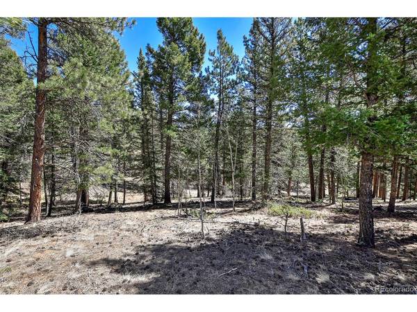 860 Spring Valley, Divide, CO 80814