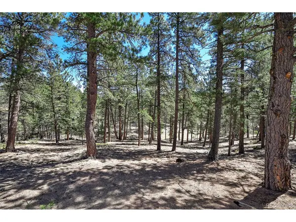 860 Spring Valley, Divide, CO 80814
