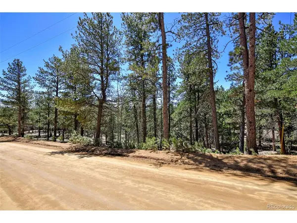 860 Spring Valley, Divide, CO 80814