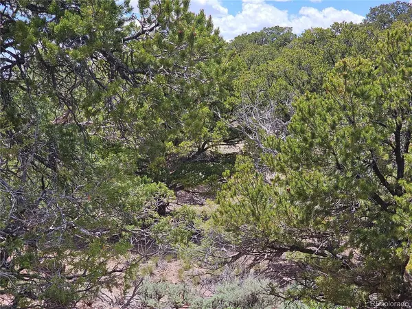 3953 Kruest, Fort Garland, CO 81133