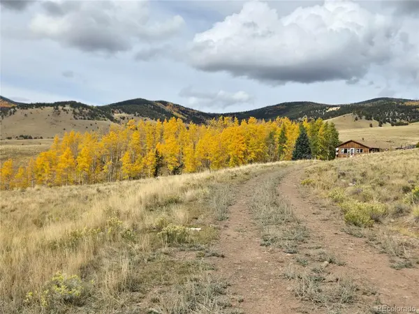 586 Cuesta, Cotopaxi, CO 81223