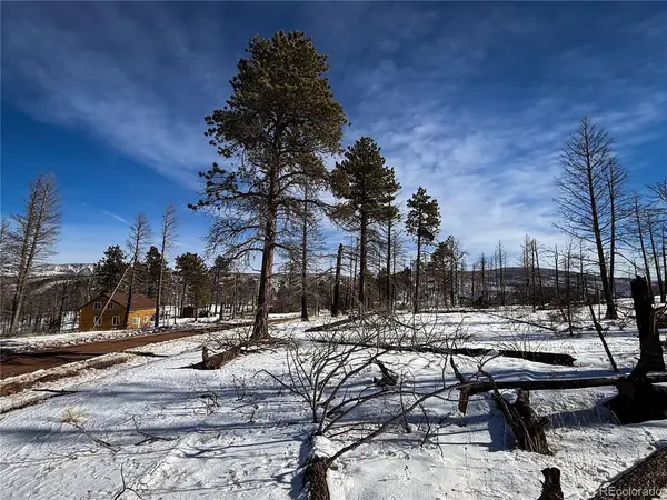591 Leslie, Fort Garland, CO 81133
