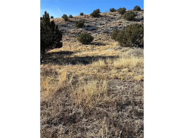 400 Autumn, Canon City, CO 81212
