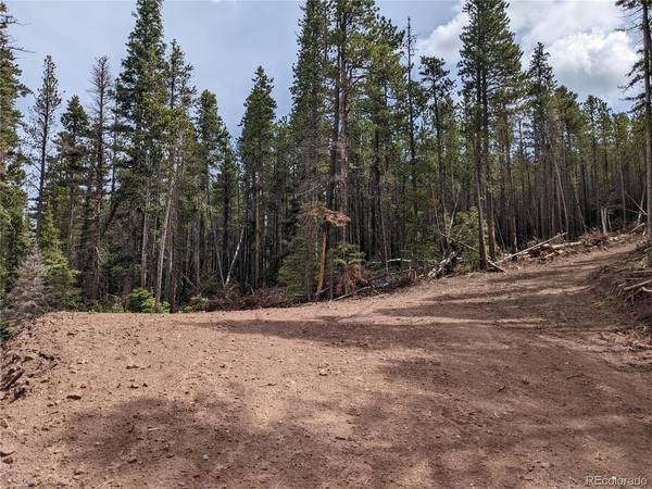 3331 Purnell, Fort Garland, CO 81133