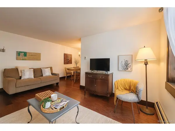 214 S Harris #101, Breckenridge, CO 80424