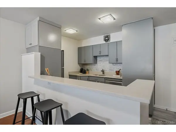 1050 N Corona #202, Denver, CO 80218