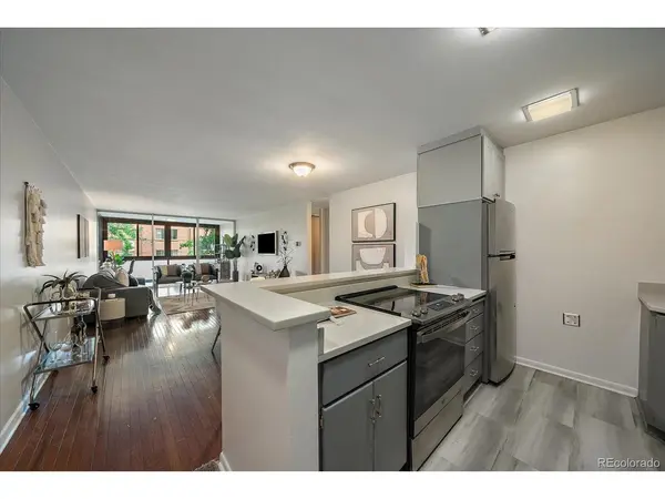 1050 N Corona #202, Denver, CO 80218