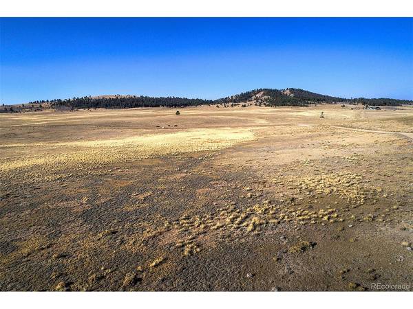 9128 Elkhorn, Hartsel, CO 80449