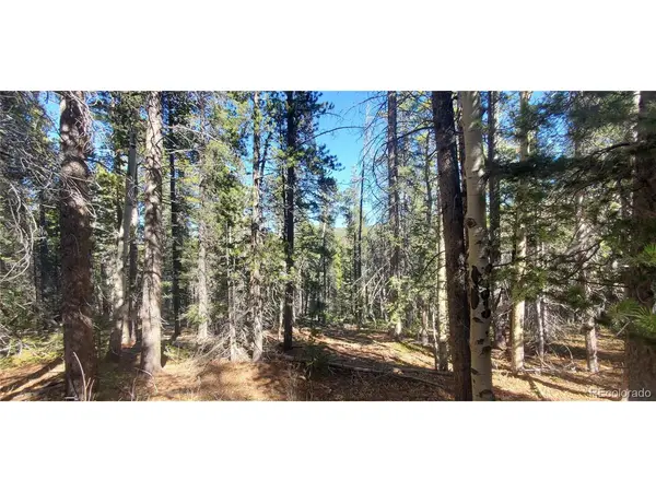 3023 Bolwell, Fort Garland, CO 81133