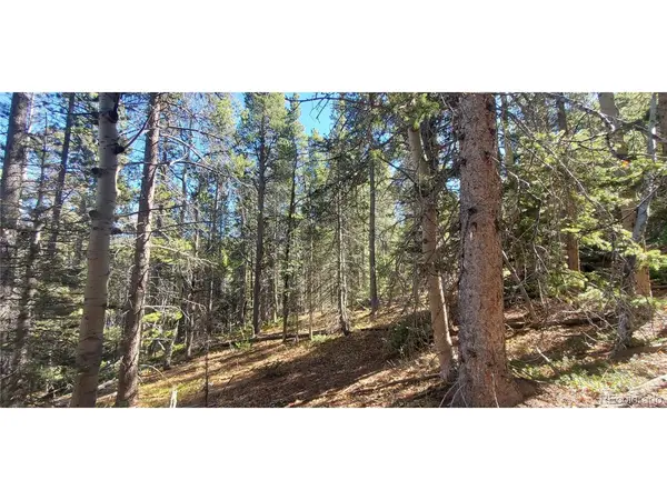 3023 Bolwell, Fort Garland, CO 81133