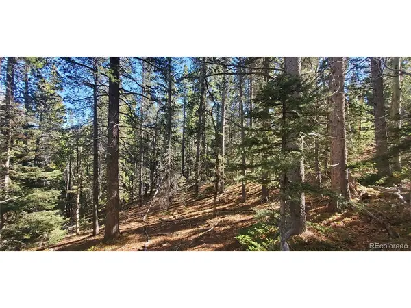 3023 Bolwell, Fort Garland, CO 81133