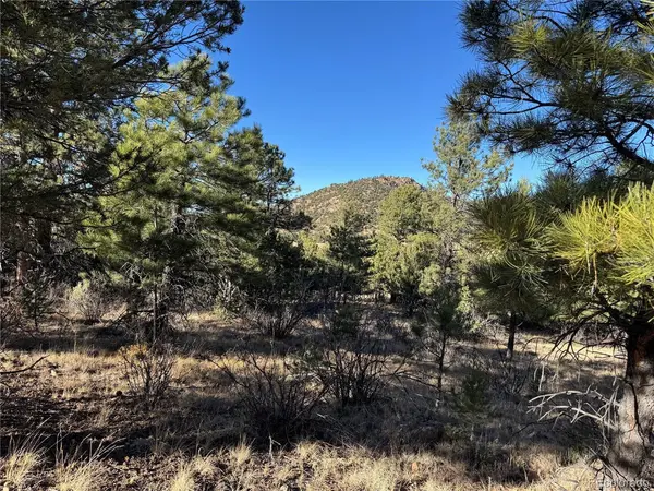35 Stephens, Westcliffe, CO 81252
