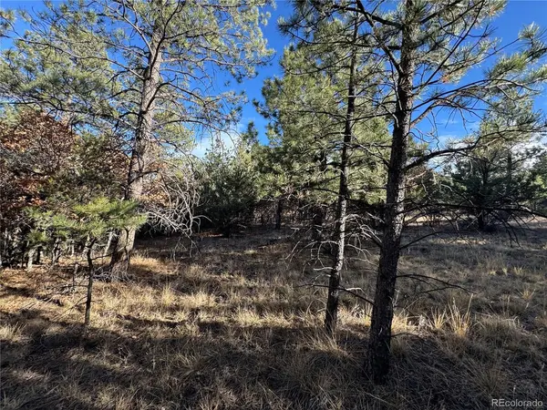 35 Stephens, Westcliffe, CO 81252