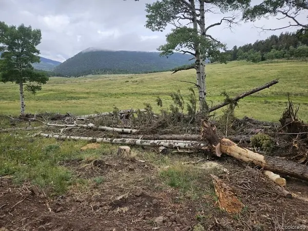 Address not disclosed, Fort Garland, CO 81133