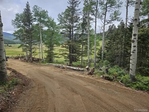 Address not disclosed, Fort Garland, CO 81133
