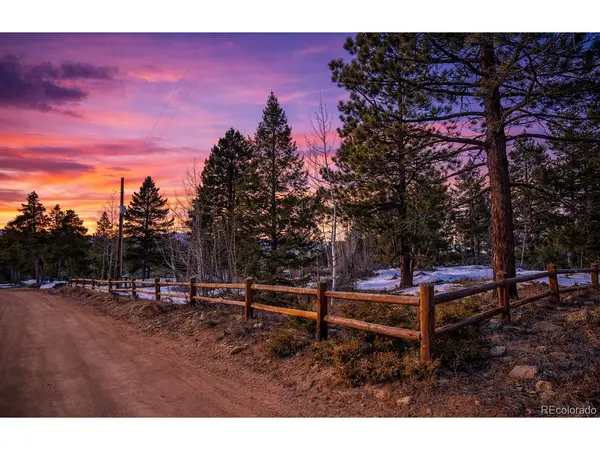 815 Cougar, Nederland, CO 80466