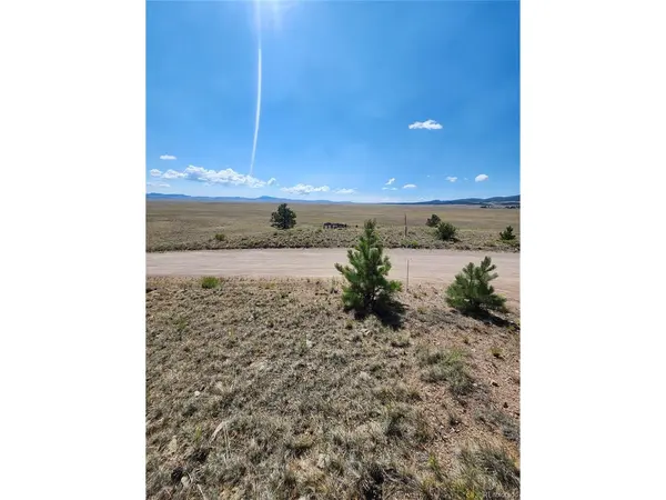 64 Bandana, Hartsel, CO 80449