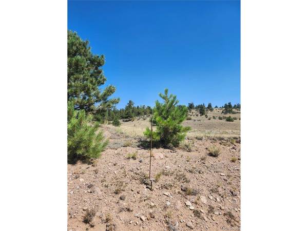 64 Bandana, Hartsel, CO 80449