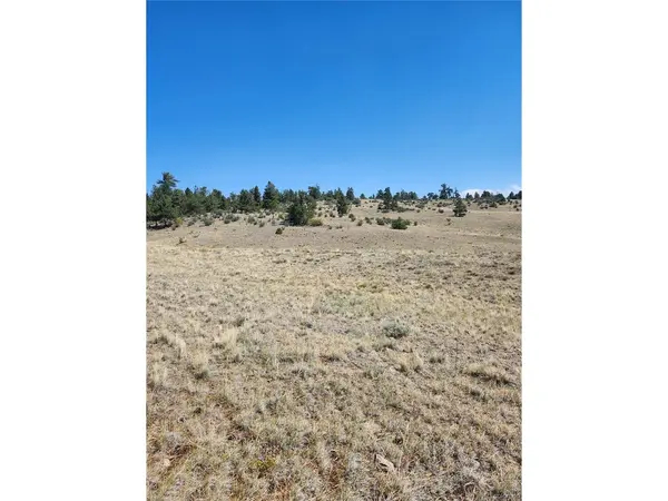 64 Bandana, Hartsel, CO 80449