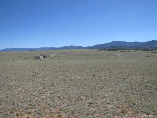 915 Olympic, Hartsel, CO 80449