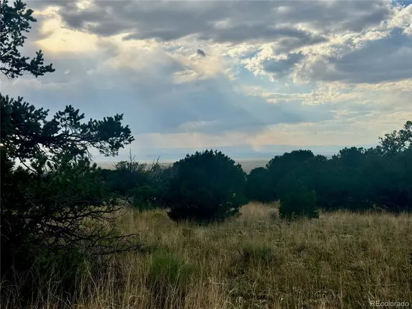 15 Clear Brook, Mosca, CO 81146