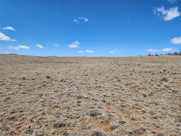 244 Brahma, Hartsel, CO 80449