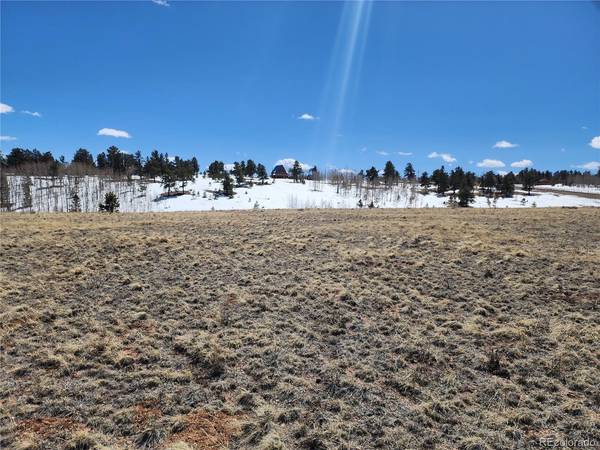 244 Brahma, Hartsel, CO 80449