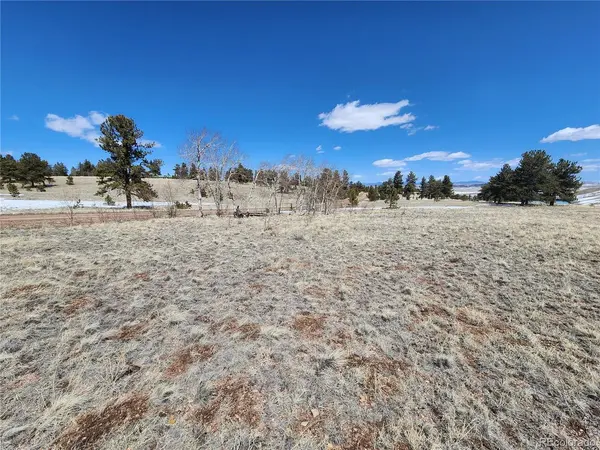 244 Brahma, Hartsel, CO 80449