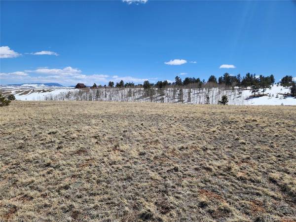 244 Brahma, Hartsel, CO 80449