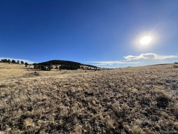 2001 County Road 329, Westcliffe, CO 81252