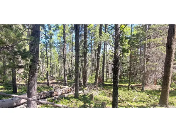 2914 Forbes Loop, Fort Garland, CO 81133