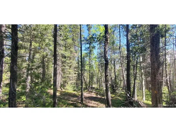 2914 Forbes Loop, Fort Garland, CO 81133