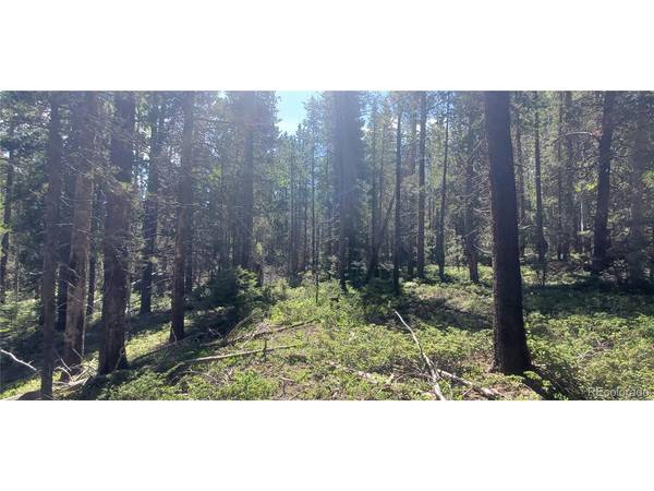 2914 Forbes Loop, Fort Garland, CO 81133
