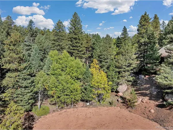 926 Pinon, Florissant, CO 80816