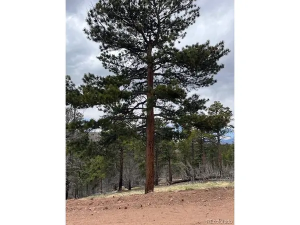 513 Leslie, Fort Garland, CO 81133