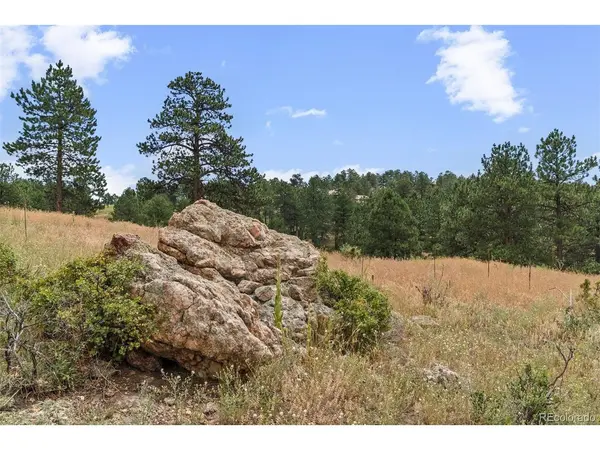 1162 Swede Gulch, Evergreen, CO 80439