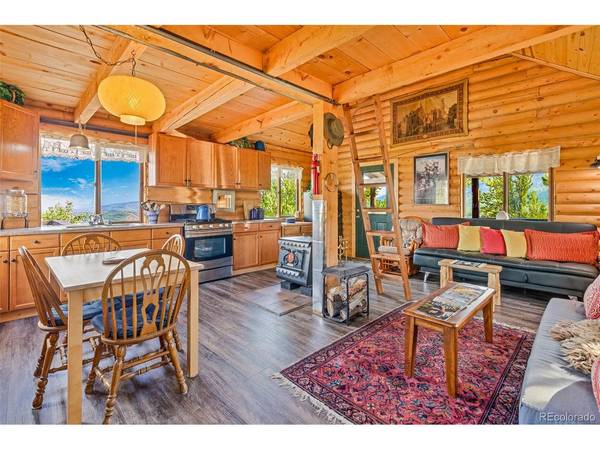 210 Pine Ridge, Fairplay, CO 80440