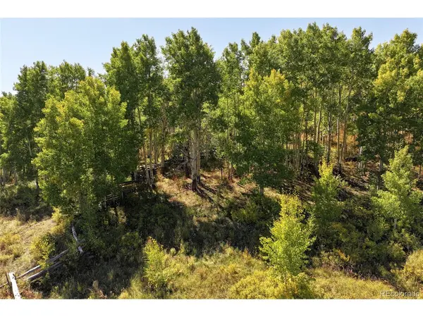 0 Divide, Whitewater, CO 81527